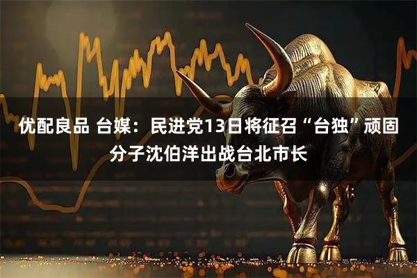优配良品 台媒：民进党13日将征召“台独”顽固分子沈伯洋出战台北市长