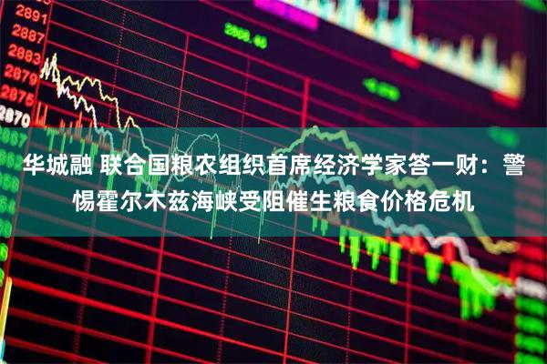 华城融 联合国粮农组织首席经济学家答一财：警惕霍尔木兹海峡受阻催生粮食价格危机