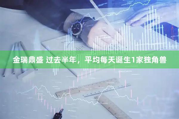 金瑞鼎盛 过去半年，平均每天诞生1家独角兽