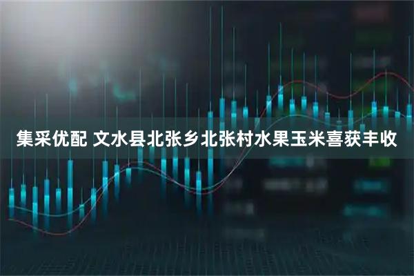 集采优配 文水县北张乡北张村水果玉米喜获丰收
