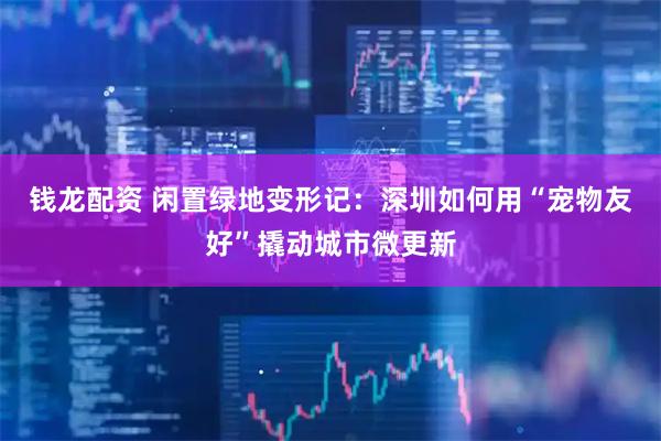 钱龙配资 闲置绿地变形记：深圳如何用“宠物友好”撬动城市微更新